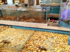 -一方渔歌蒸汽海鲜自助(文化路万达广场店)