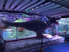 -宁波冰雪大世界(北仑区)