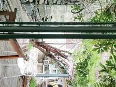 -喵屿·大理花园猫咖