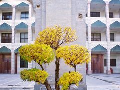 -西宁市东关清真大寺