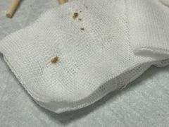-博特宠物医院24h犬猫全科.骨科·异宠