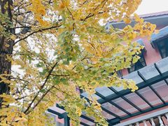 -翠园十八号庭院餐厅