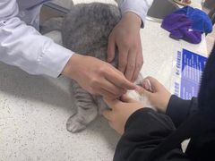-宠颐生动物医院·小陆分院