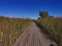 -马家湾湿地公园