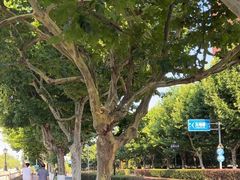 -上海交通大学(闵行校区)