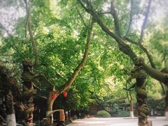 -杭州黄龙洞