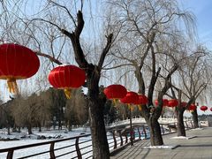 -长春市南湖公园