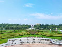 -东方绿舟景区
