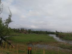 -芒洲湿地公园