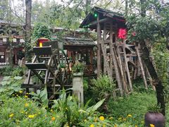 -青城甲(青城山店)