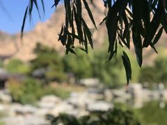 -天涯山