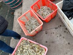 -南沙十九涌渔人码头-南门