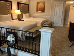 -澳门威尼斯人综合度假区