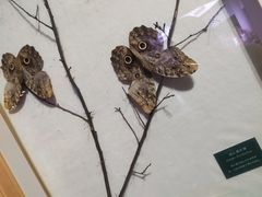 -陕西自然博物馆