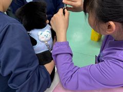 -北京观赏动物医院·24小时大型综合·猫专科·异宠专科