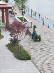 点击看大图 -乐茵敔山湾月子中心(独栋湖景店)