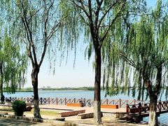 -丁香湖公园