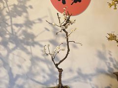 -宫事颐庭·老佛爷贵寿下午茶(颐和园店)