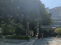 -荔湾湖公园