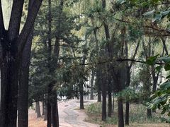 -森林公园(尖草坪区)