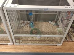 -狗道宠物(常熟印象城店)