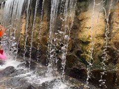 -北仑森林植物园