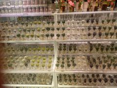 -KKV(深圳宏发大仟里店)