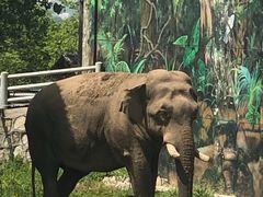 -西安秦岭野生动物园