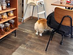 -肥朵食堂(带梦胡同店)