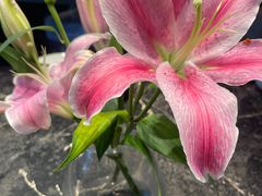 -悦百味·品质川菜(橄榄郡店)