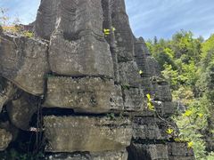 -梭布垭石林景区