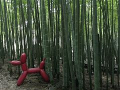 -苏州环秀晓筑养生度假村