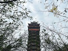 -塔子山公园