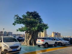 -赛格国际购物中心(小寨店)