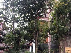-磐安十八涡景区