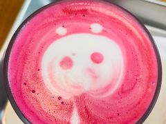 -WHEN PIGS FLY当猪飞