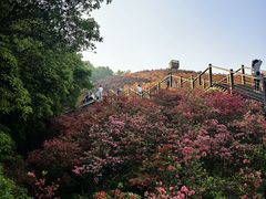 -瑞安圣井山景区