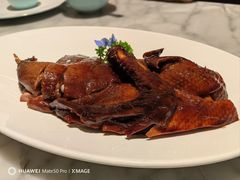 -蝶园·装修中(BFC外滩金融中心店)