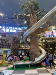 -卡通尼·Safari非洲探索乐园·生日会(金桥国际商业广场店)