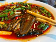 鳝鱼-代木儿回锅肉