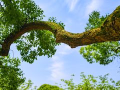 -浮山风景名胜区