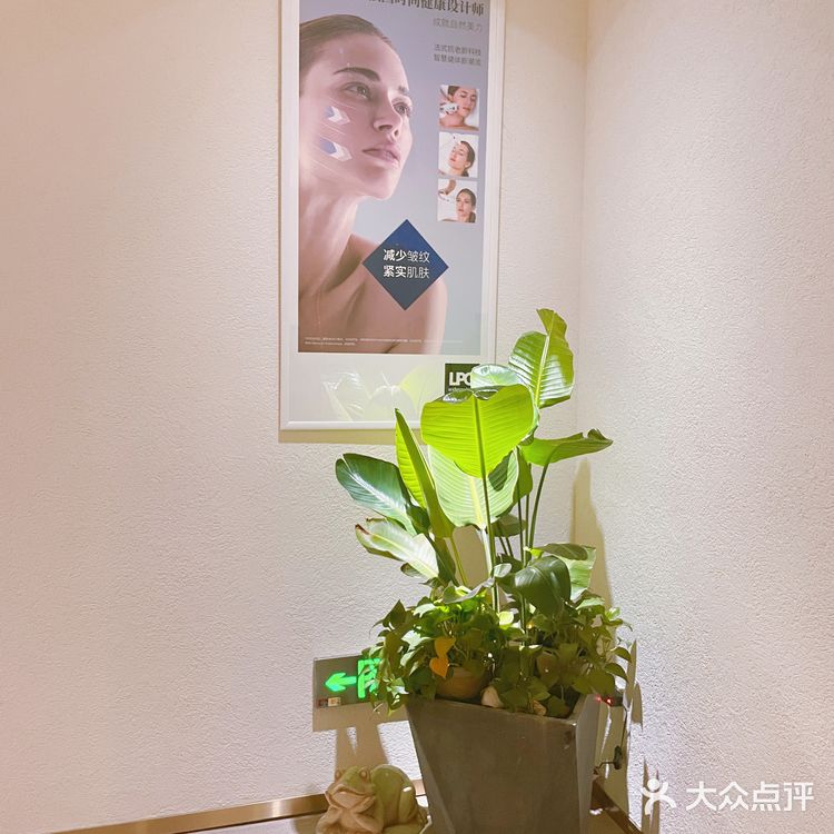 北外滩来福士新店|艾维庭美容纤体SPA