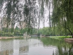 -团结湖公园