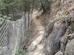 -南山植物园