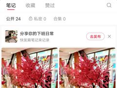 -大商麦凯乐(大连总店)