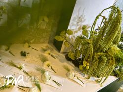 -DNA Wedding 婚礼记(上海店)