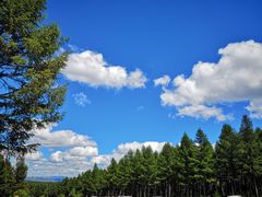 -塞罕坝国家级自然保护区