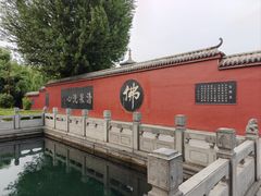 -百脉泉景区