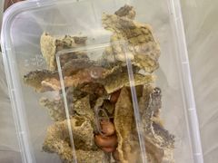 炸鱼皮-老西关濑粉(文明路店)