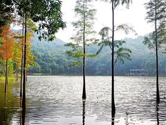 -广州市石门国家森林公园